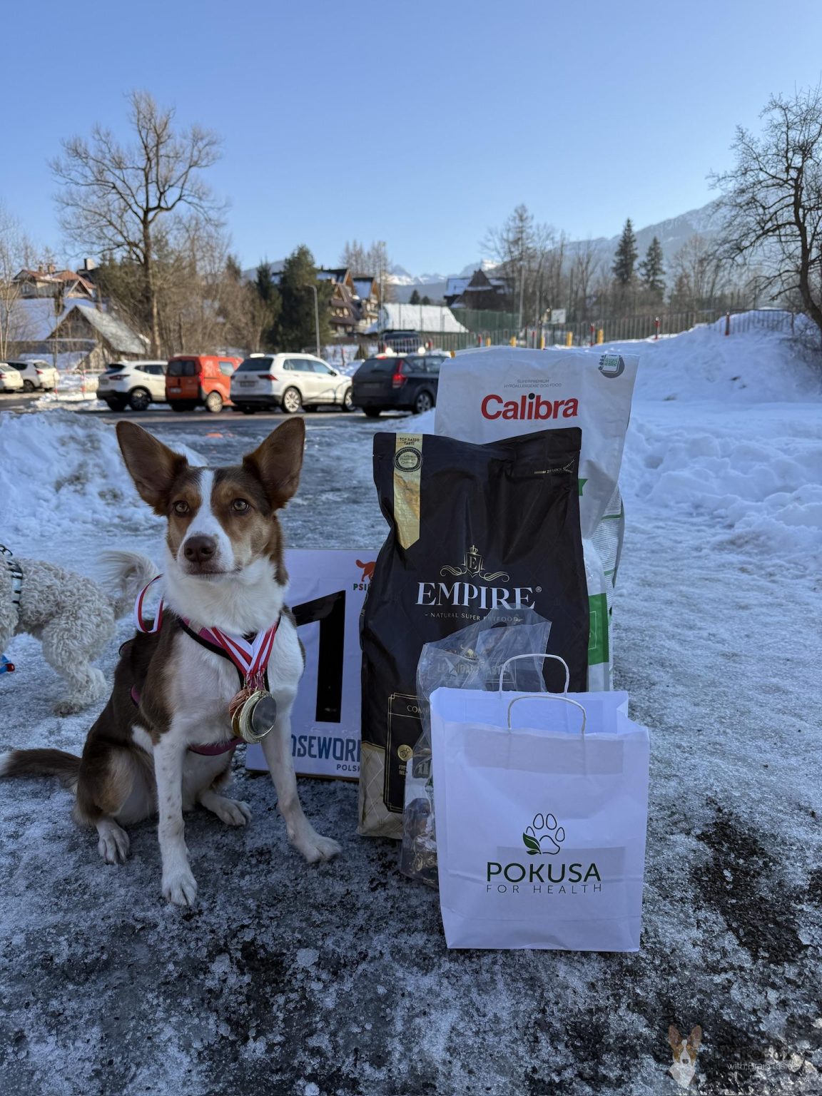 98BD02EA-D324-4303-B47B-283C1B07B3D4_1_102_o